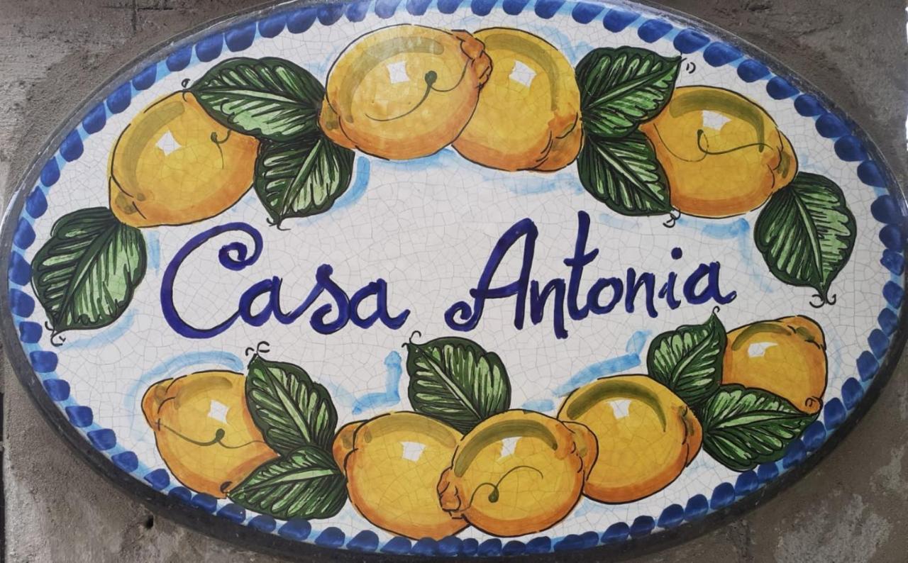 Casa Antonia Apartment Anacapri  Ngoại thất bức ảnh